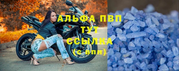 стафф Бронницы